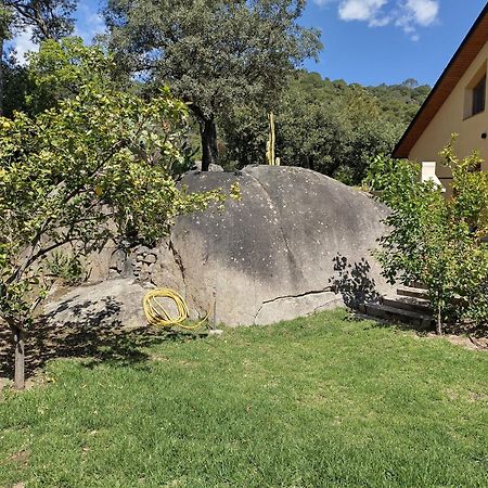 Sant Cebrià de VallaltaCasa Feliz别墅 外观 照片