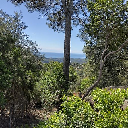 Sant Cebrià de VallaltaCasa Feliz别墅 外观 照片