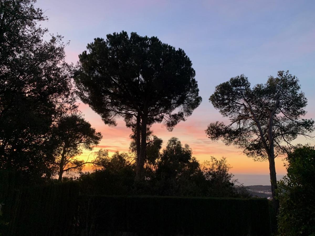 Sant Cebrià de VallaltaCasa Feliz别墅 外观 照片