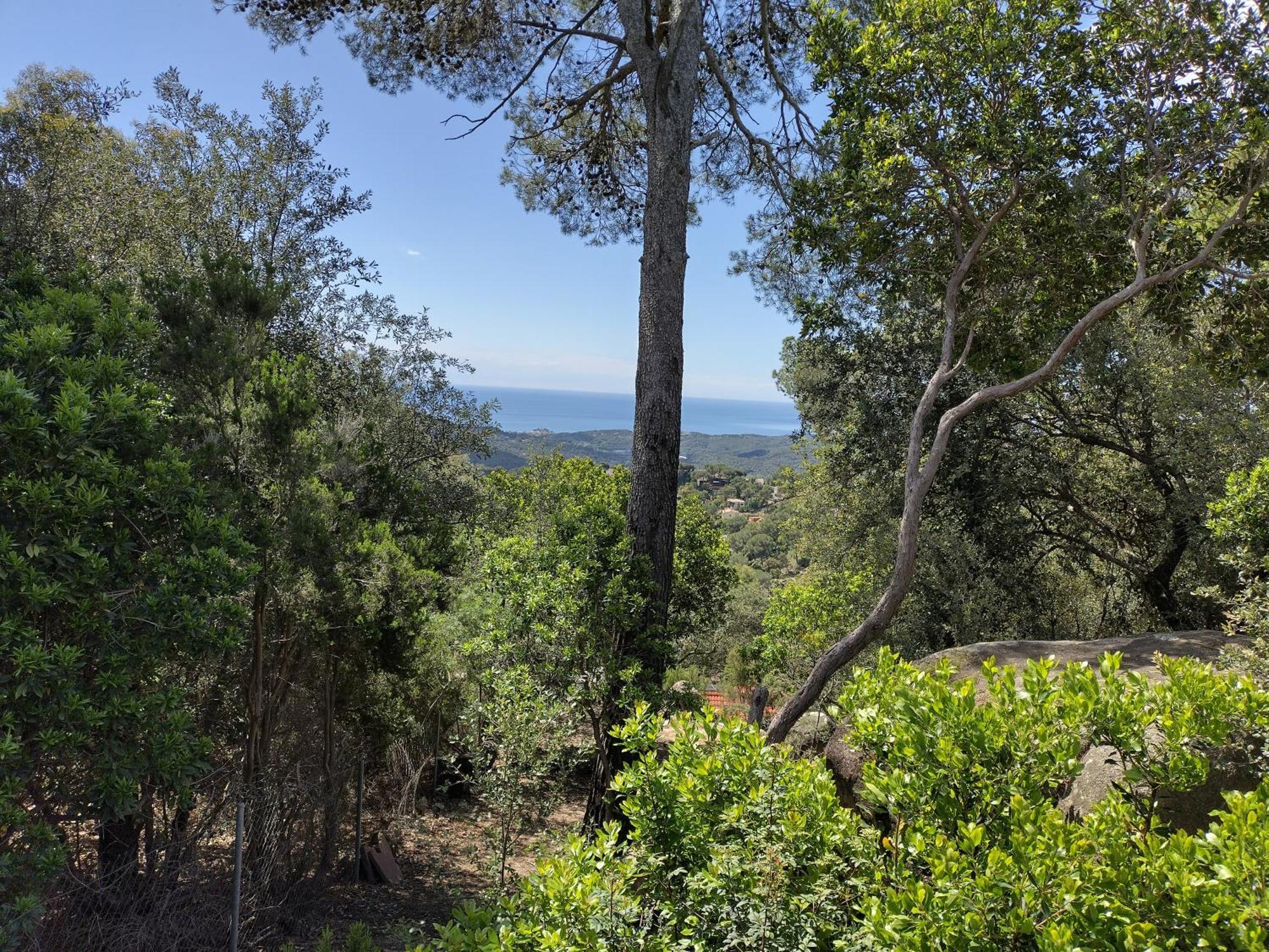 Sant Cebrià de VallaltaCasa Feliz别墅 外观 照片
