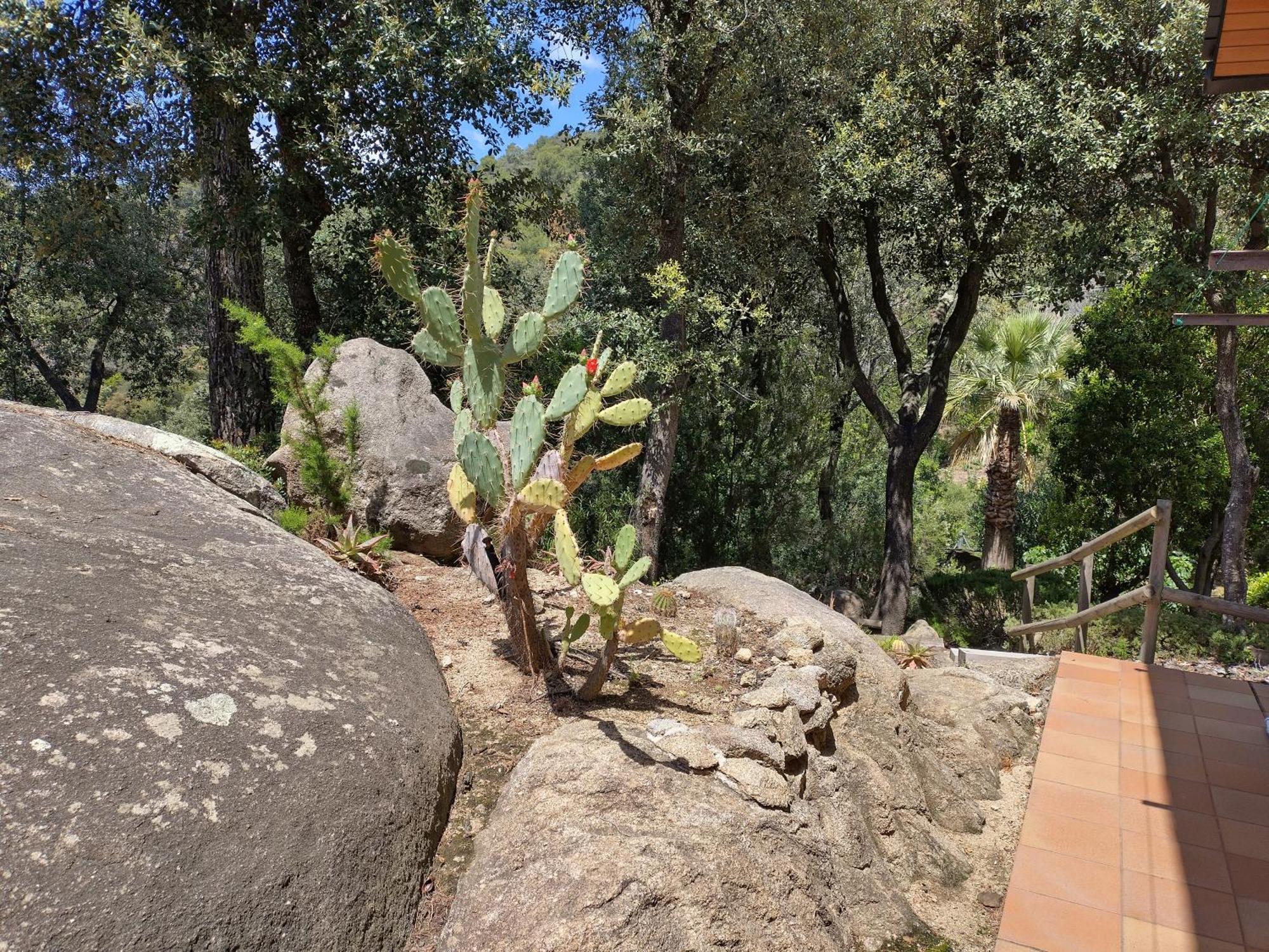 Sant Cebrià de VallaltaCasa Feliz别墅 外观 照片