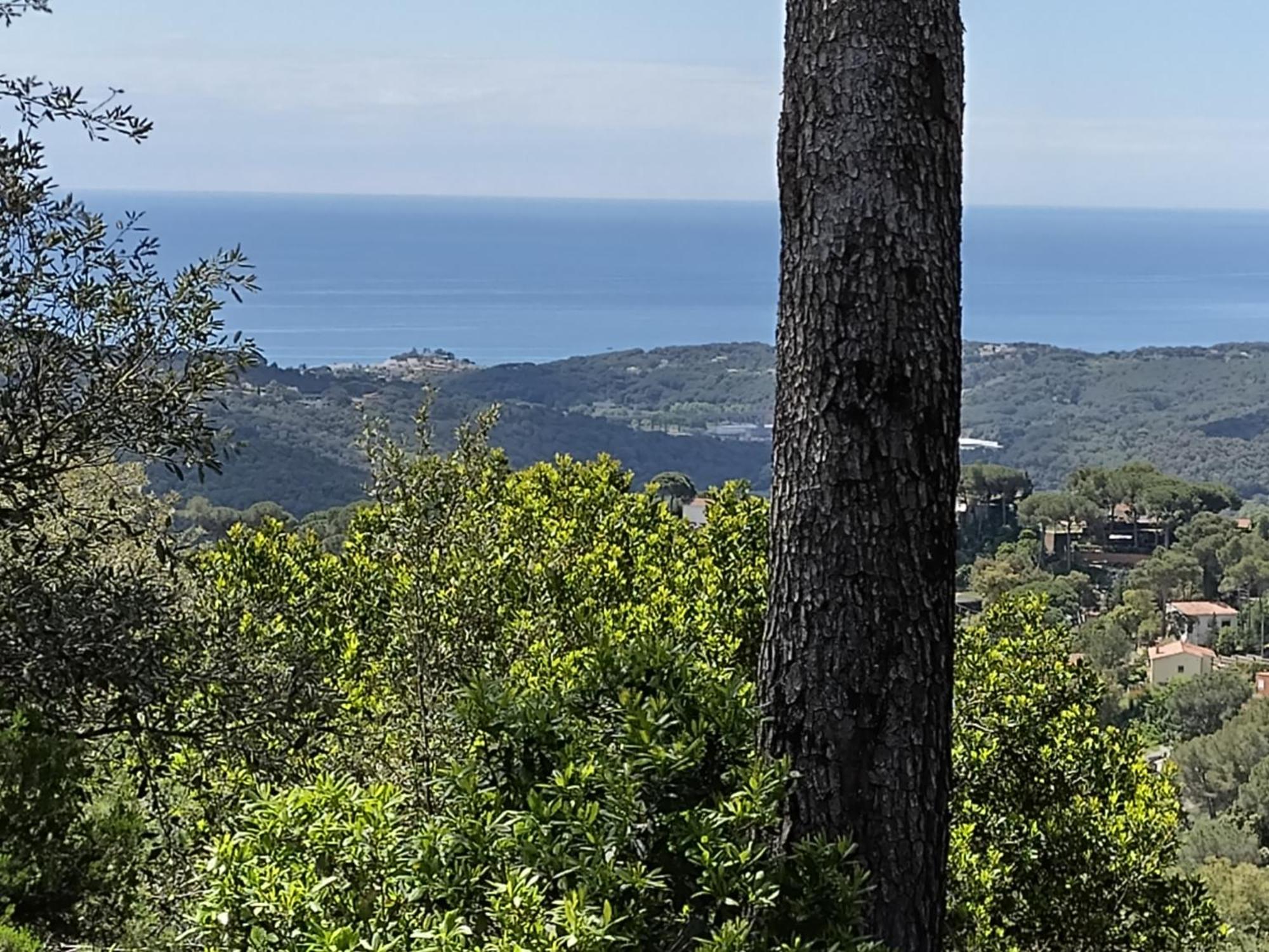 Sant Cebrià de VallaltaCasa Feliz别墅 外观 照片